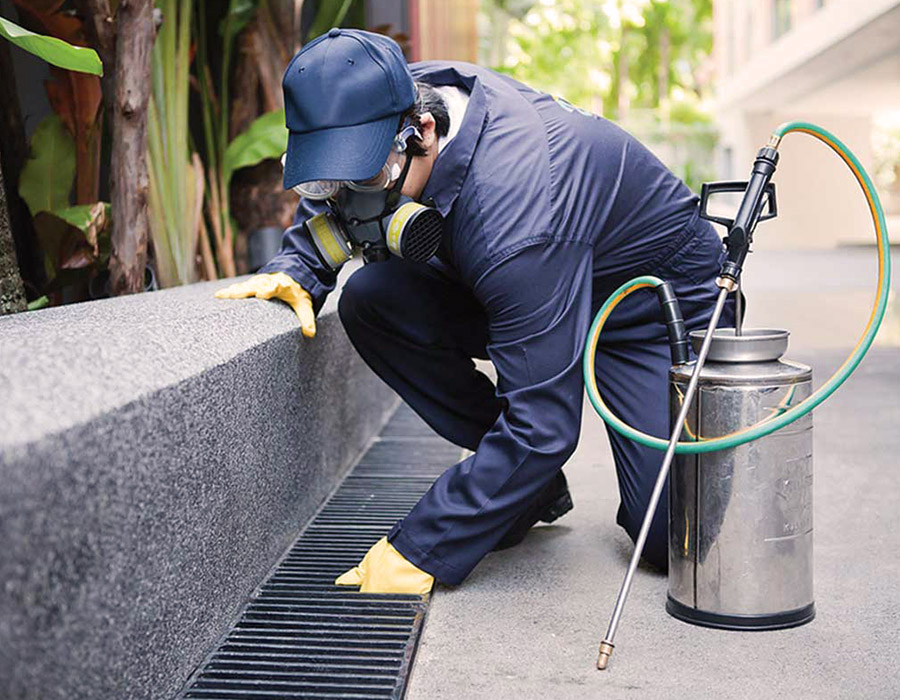 Hotel Cleaning Services | Hotel Landscaping Services | Pest Control Services Singapore