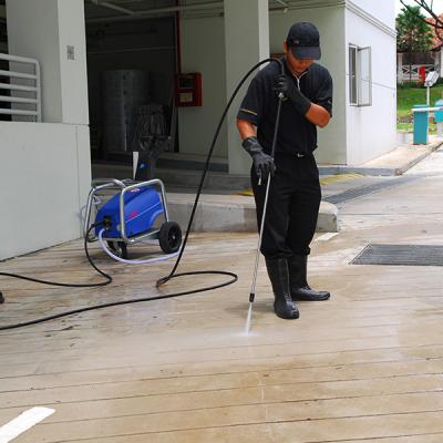Driveway Cleaning 001